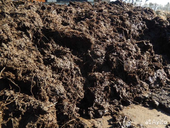 Продаю перегной навоз каровы