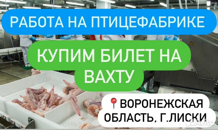 Вахта на птицефабрику с оплатой проезда/Мойщик