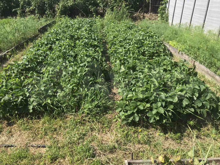 Дом 216,4 м² на участке 12 сот.