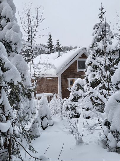 Дом 25 м² на участке 25 сот.