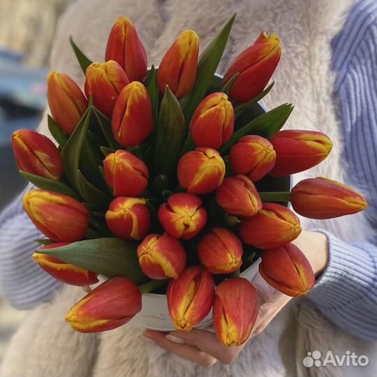Тюльпаны оранжевые букет 25 штук 8 марта в Москве