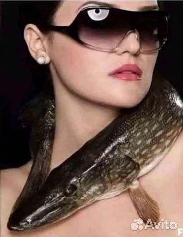 Рыбалка и отдых