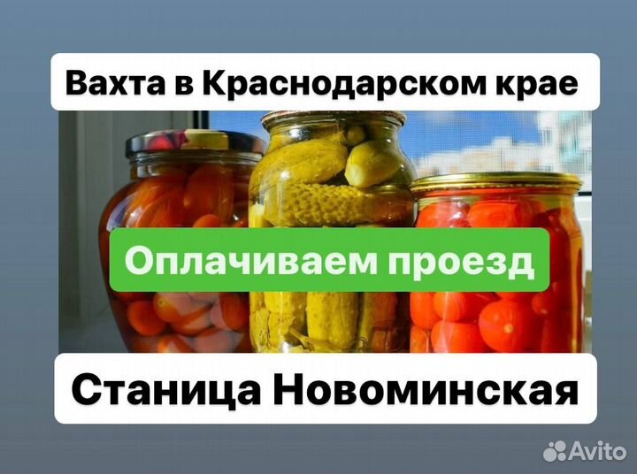 Оплатим дорогу. Вахта на консервный завод