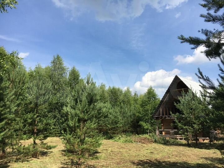 Участок 62 сот. (СНТ, ДНП)