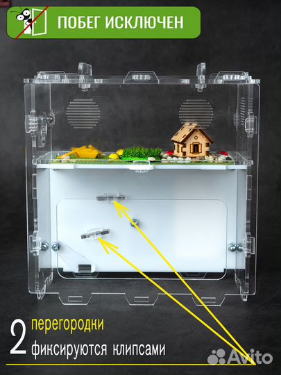 Муравьиная ферма вертикальная Формикарий с гипсом