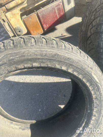 Nokian Tyres Hakkapeliitta 5 255/50 R19