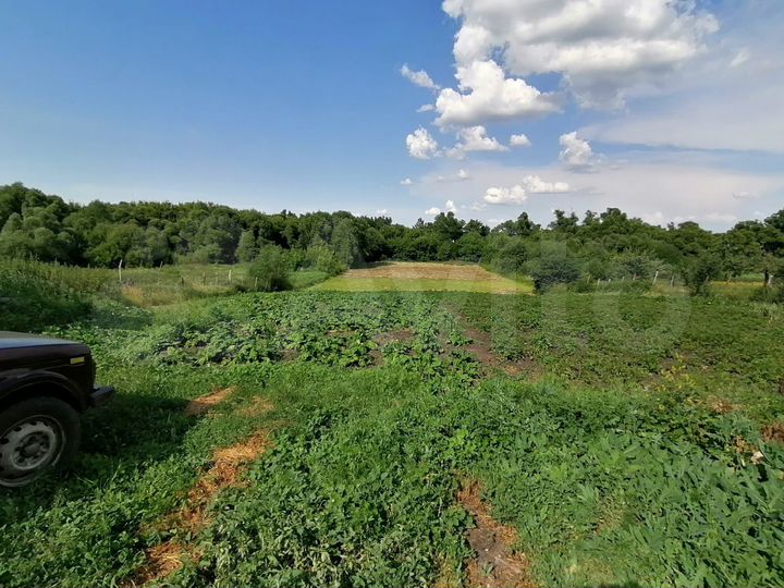 Дом 65 м² на участке 50 сот.