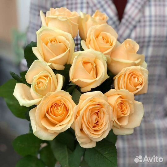 Букет из 11 роз