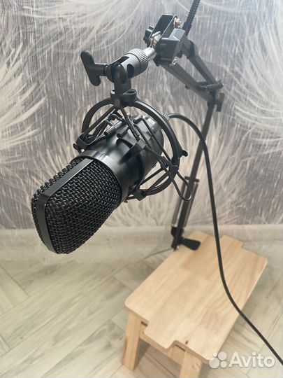 Настольный проводной usb микрофон Ritmix RDM169