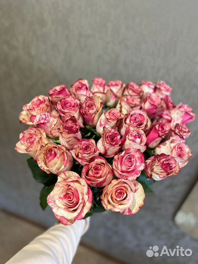 Букеты живых цветов Роза Голландия 15 25 51 75 101