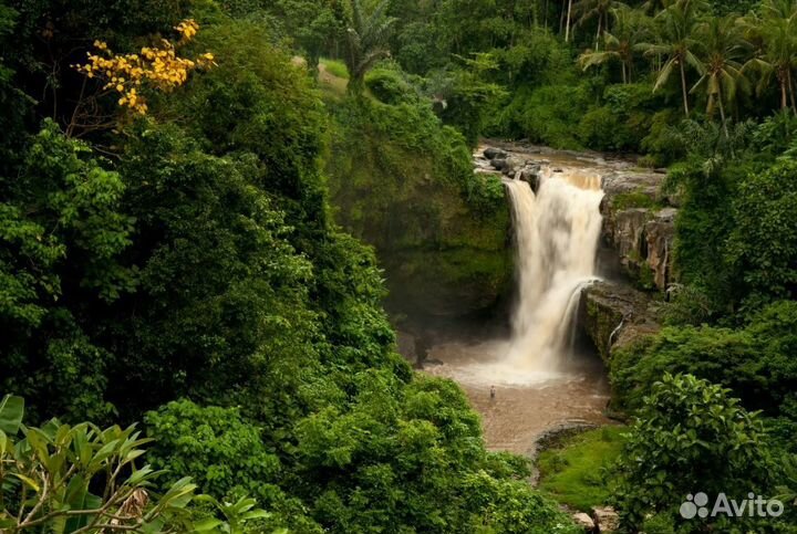 Тур на Bali от 8 дн
