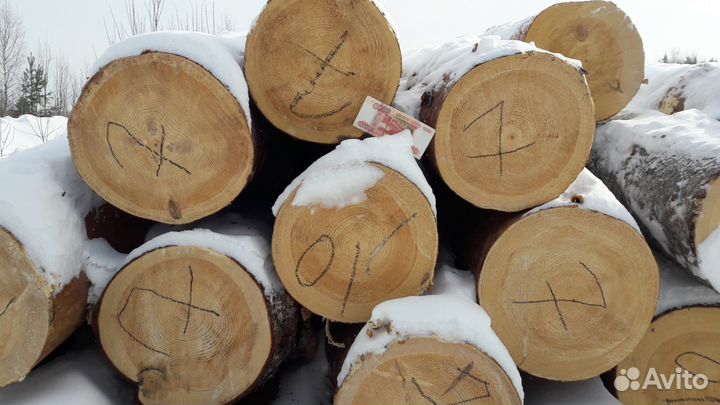 Изготовление срубов для домов и бань