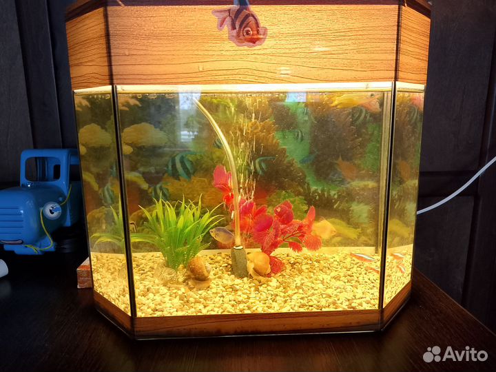 Аквариум