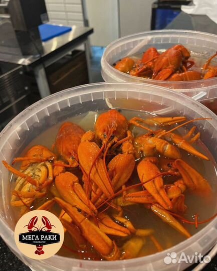 Живые раки. 4 вида варки. Доставка