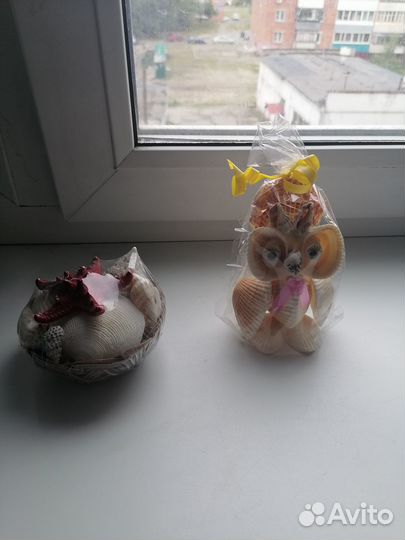 Морские ракушки раковины