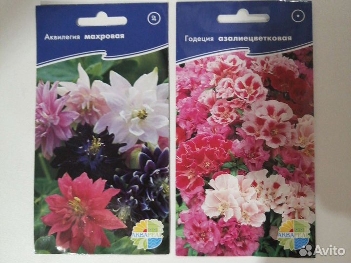 Семена цветов цинния, аквилегия, подсолнечник