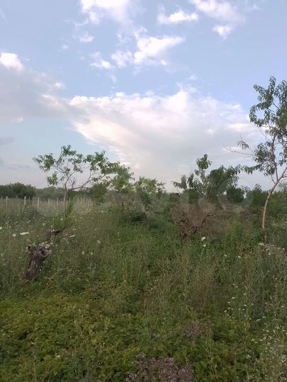 Участок 1,2 га (СНТ, ДНП)