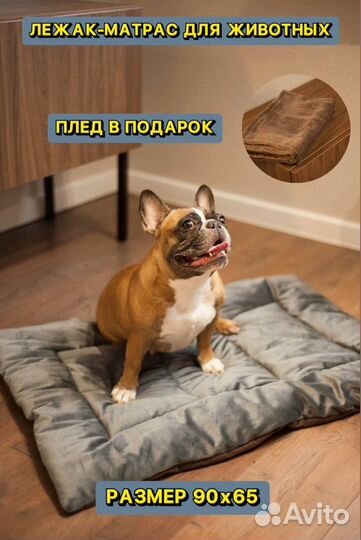 Лежанка для средних собак и мелких оптом