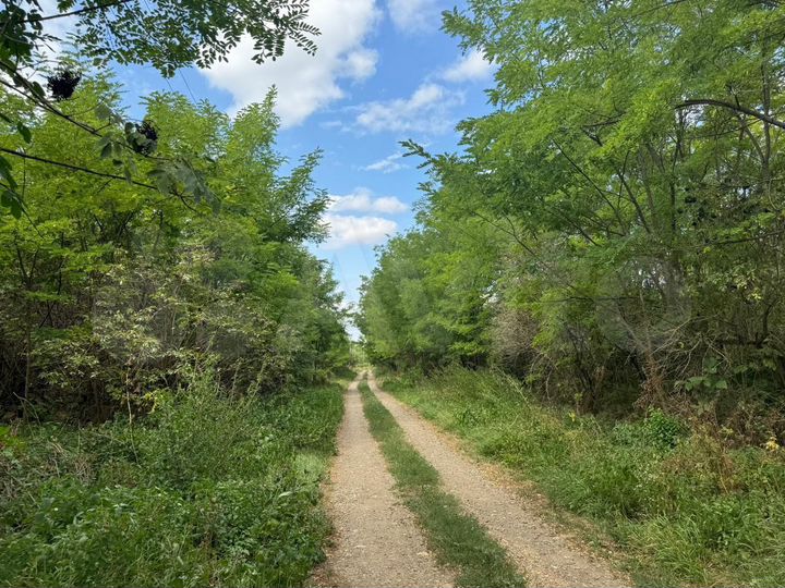 Участок 100 сот. (СНТ, ДНП)