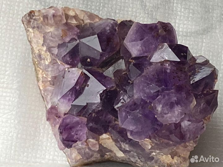 Друза аметиста