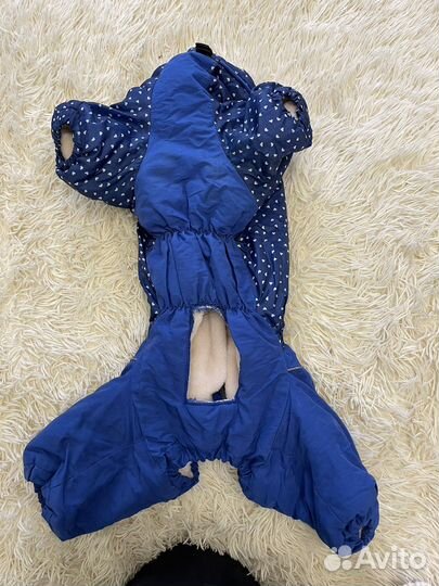 Костюм для собаки