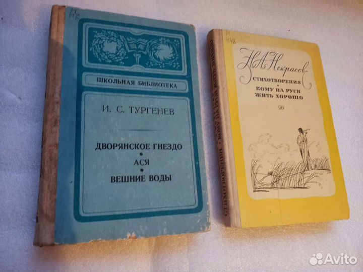 И. С. Тургенев, Н. А. Некрасов