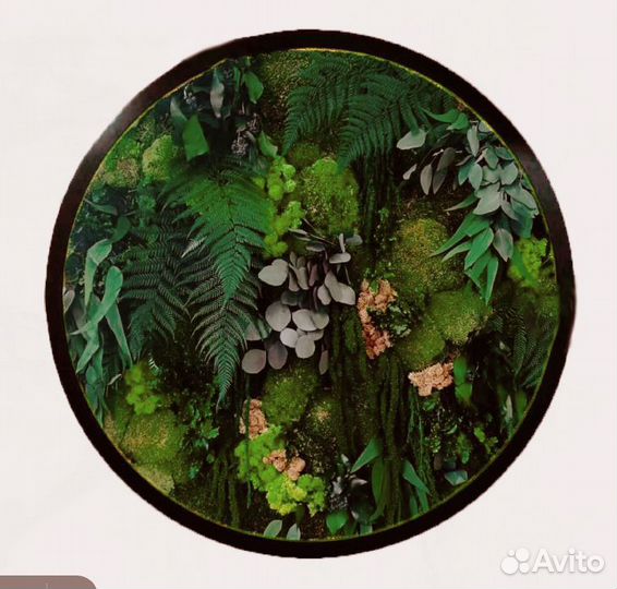 Картина из мха круглая