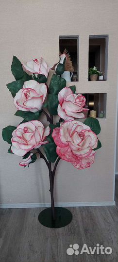 Ростовые розы