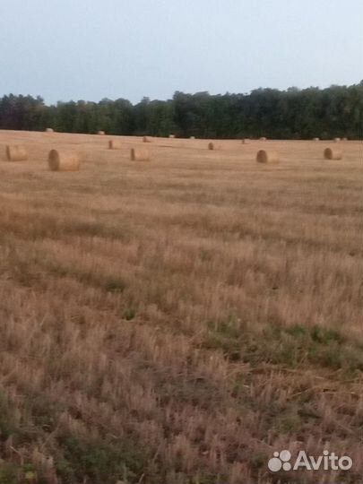 Продам солому в рулонах
