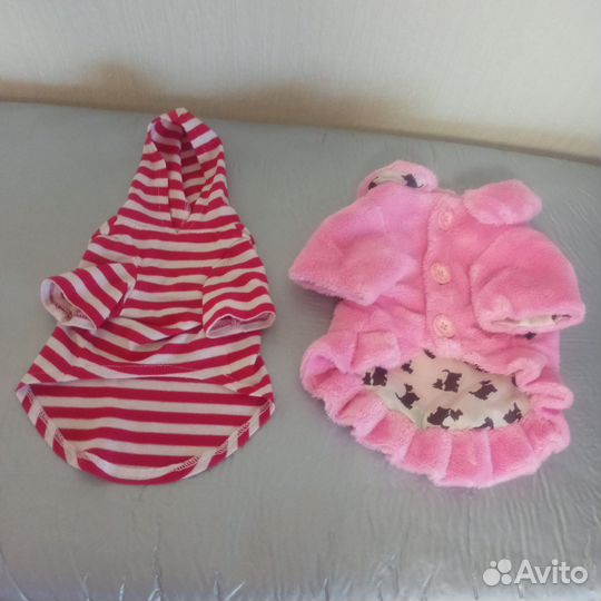 Вещи для маленькой собачки