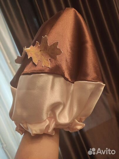 Шапка гриба