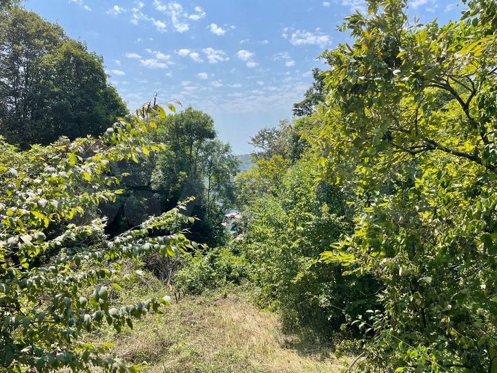 Участок 5,6 сот. (СНТ, ДНП)