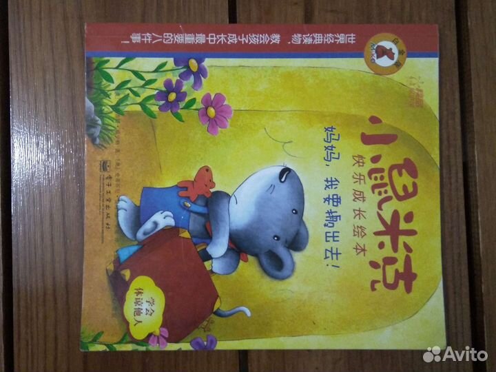 Книга на китайском