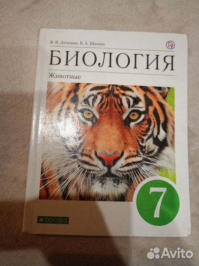 Ученики 7, 8 классы