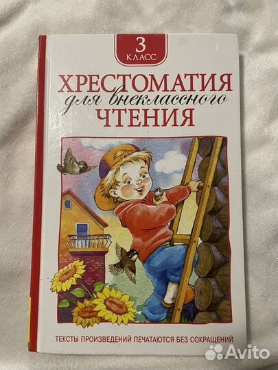 Книги для внеклассного чтения 2 шт
