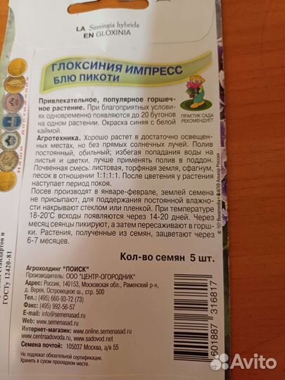 Глоксиния цветущая