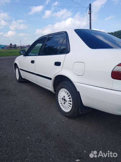 Toyota Corolla, 1998