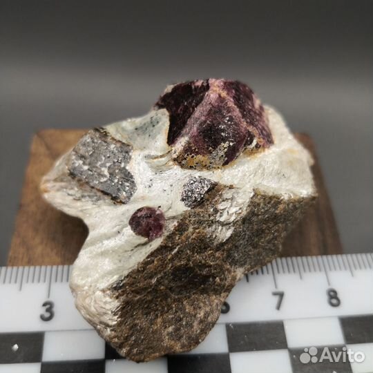 Альмандин и ставролит в сланце