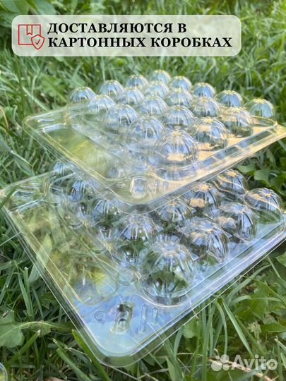 Упаковка для перепелиных яиц