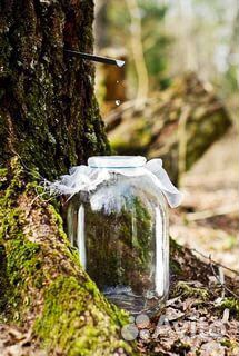 Березовый квас