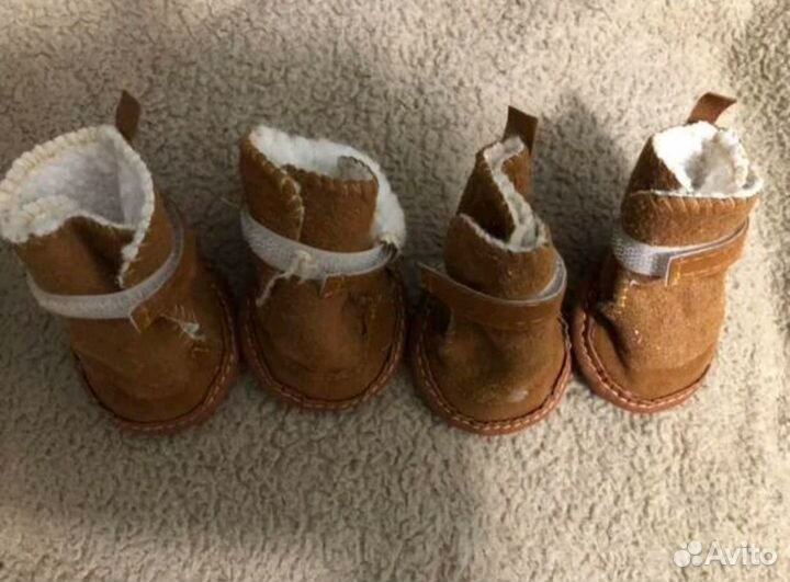 Обувь для собаки