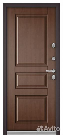 Дверь уличная