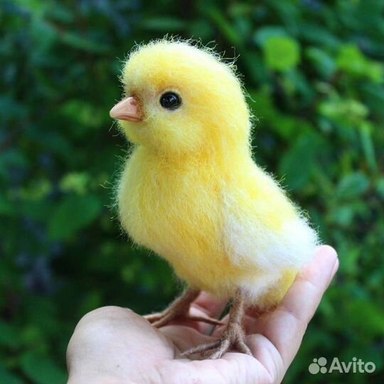 Корма для Кур