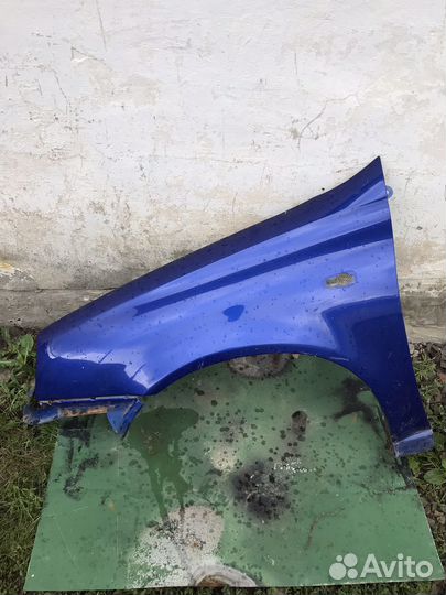 Передние крылья