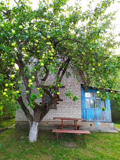 Участок 9 сот. (СНТ, ДНП)