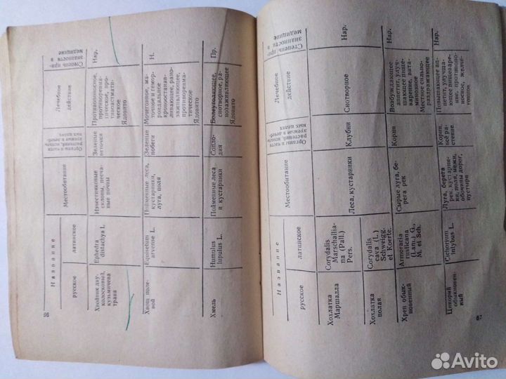 Дикорастущие лекарственные растения. Флеров