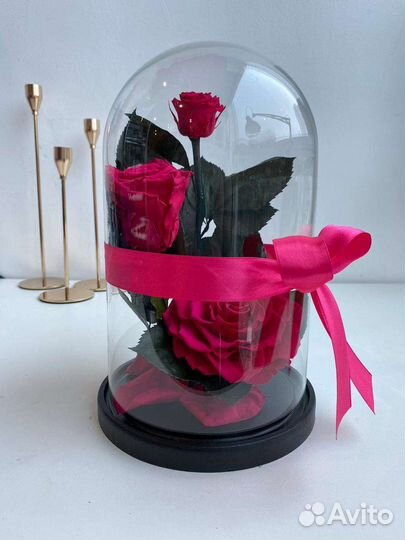 Вечная роза в колбе