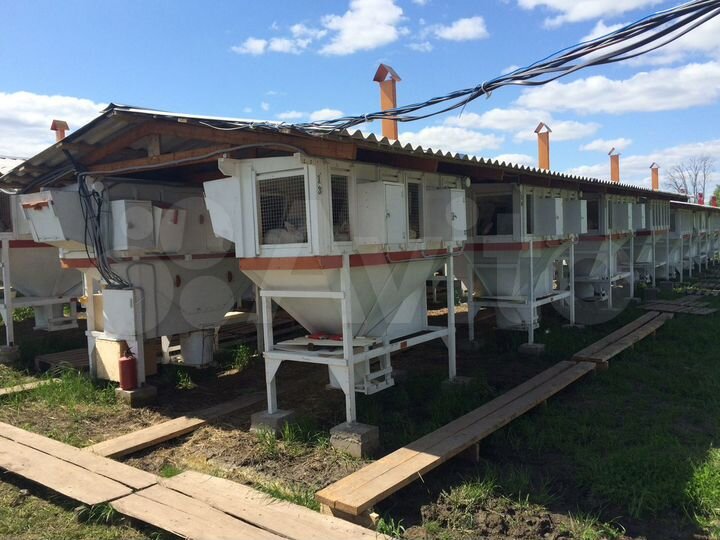 Участок 3 га (СНТ, ДНП)