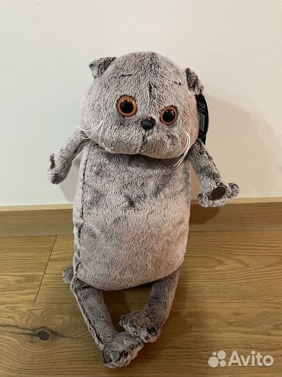 Кот Басик новый бронь