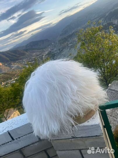 Шапка папаха